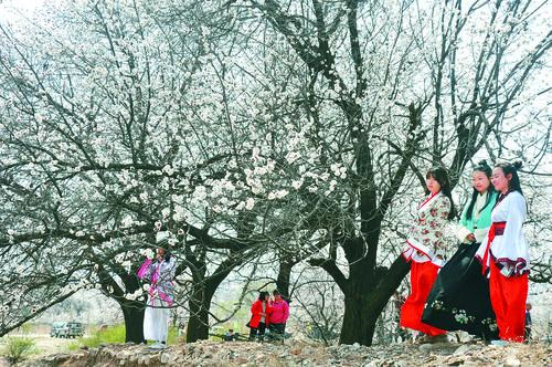 意昂5平台智能仪表盘示意